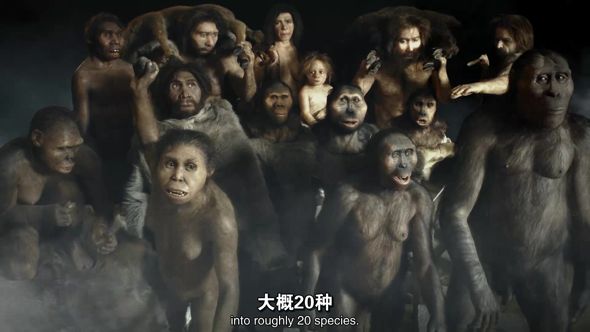 中英文字幕《人类走出摇篮 The Origins of Humanity》NHK制作的关于人类起源的史诗级纪录片.强烈推荐!哔哩哔哩bilibili