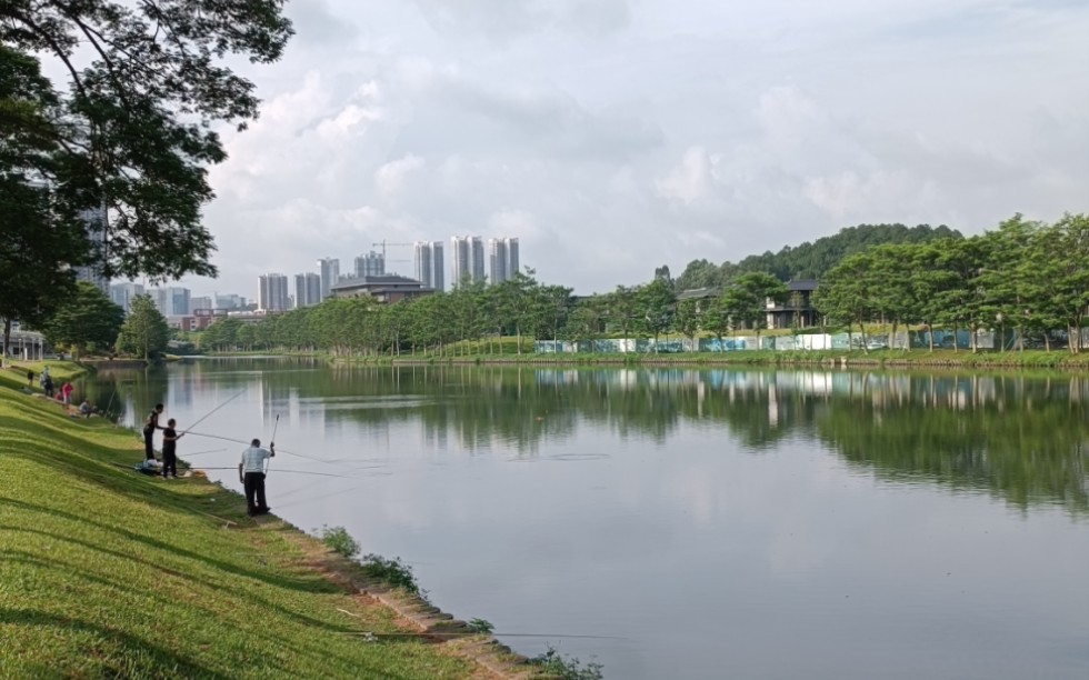 增城挂绿湖骑游