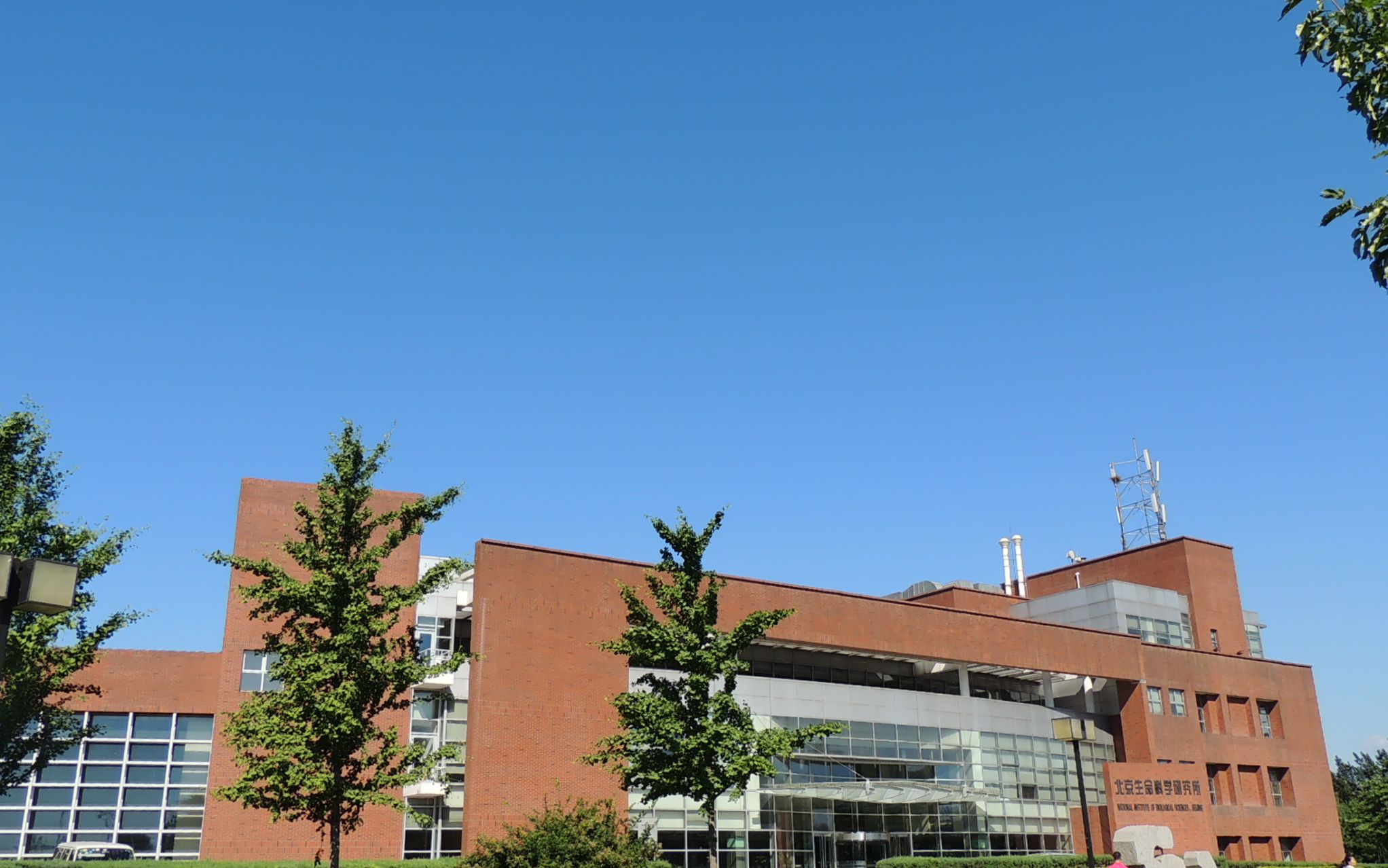 你要跳舞吗——nibs(北京生命科学研究所)袭荣文所2020新年视频