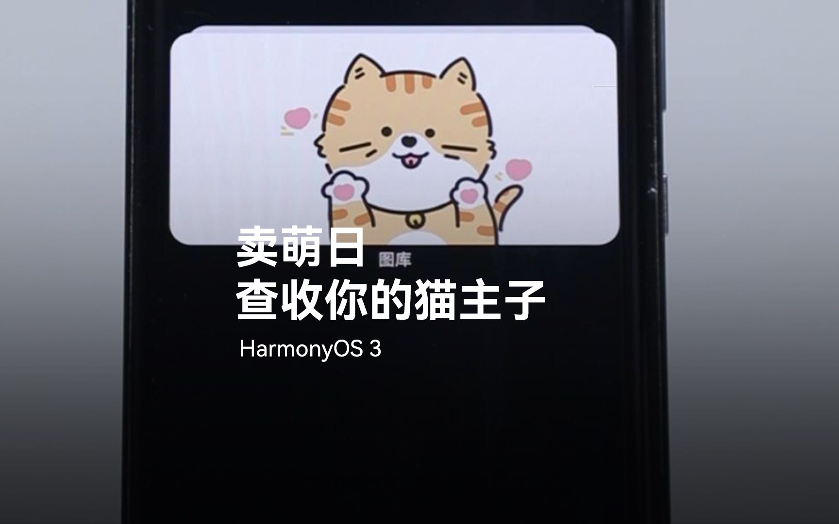 【HarmonyOS 3】卖萌日,查收你的猫主子哔哩哔哩bilibili