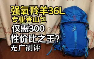 下载视频: 网上吹爆的强氧羚羊36究竟如何？拳打小鹰脚踢多特？强氧羚羊登山包详细测评推荐