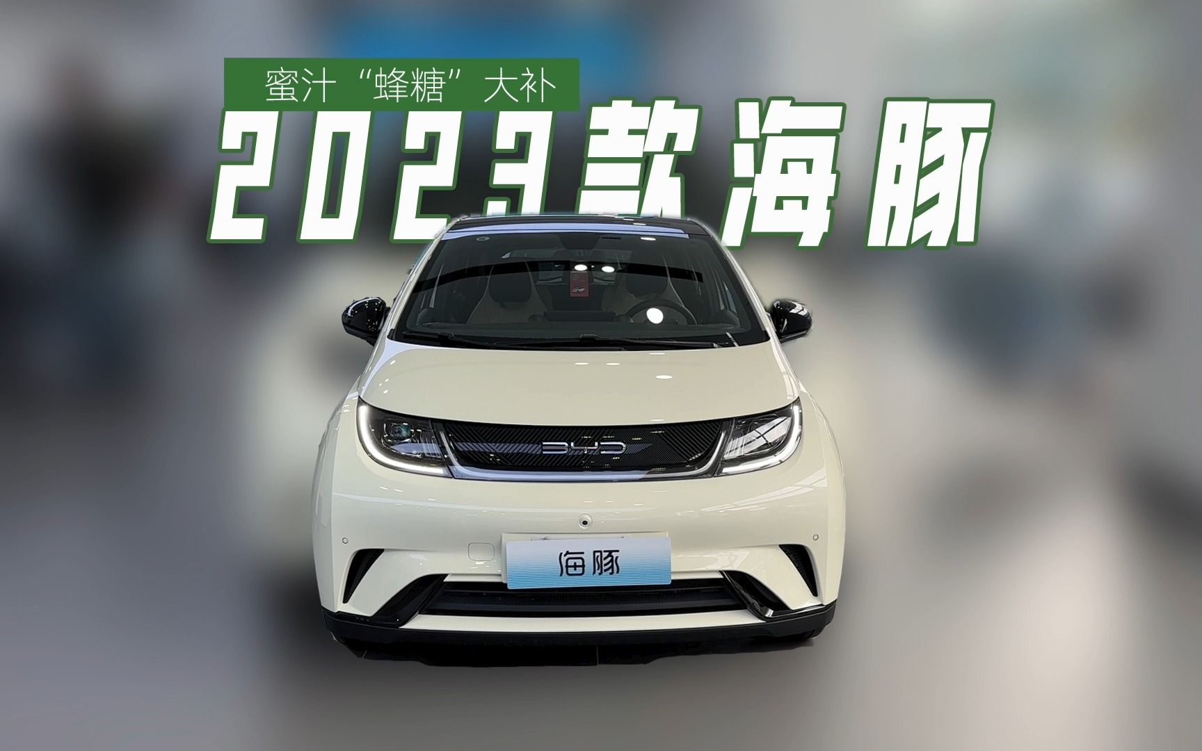 沉浸式体验比亚迪2023款海豚,音响不错,新增的配置比较甜