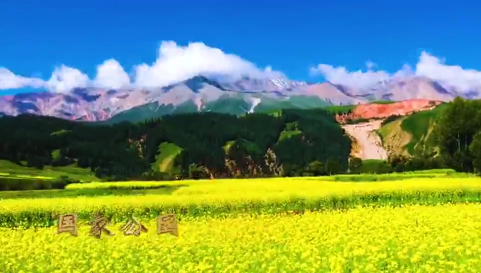 大美青海旅游净地央视广告重磅发布15秒