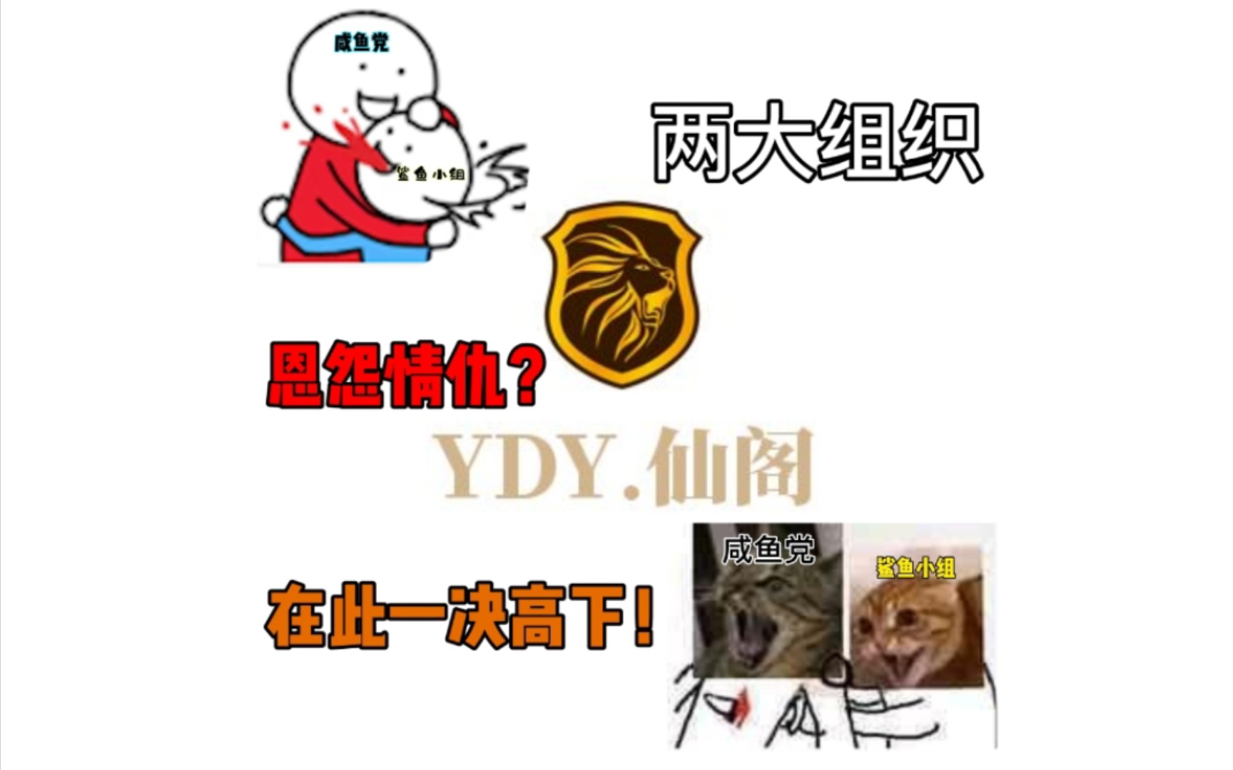 YDY两个组织之间的较量哔哩哔哩bilibili