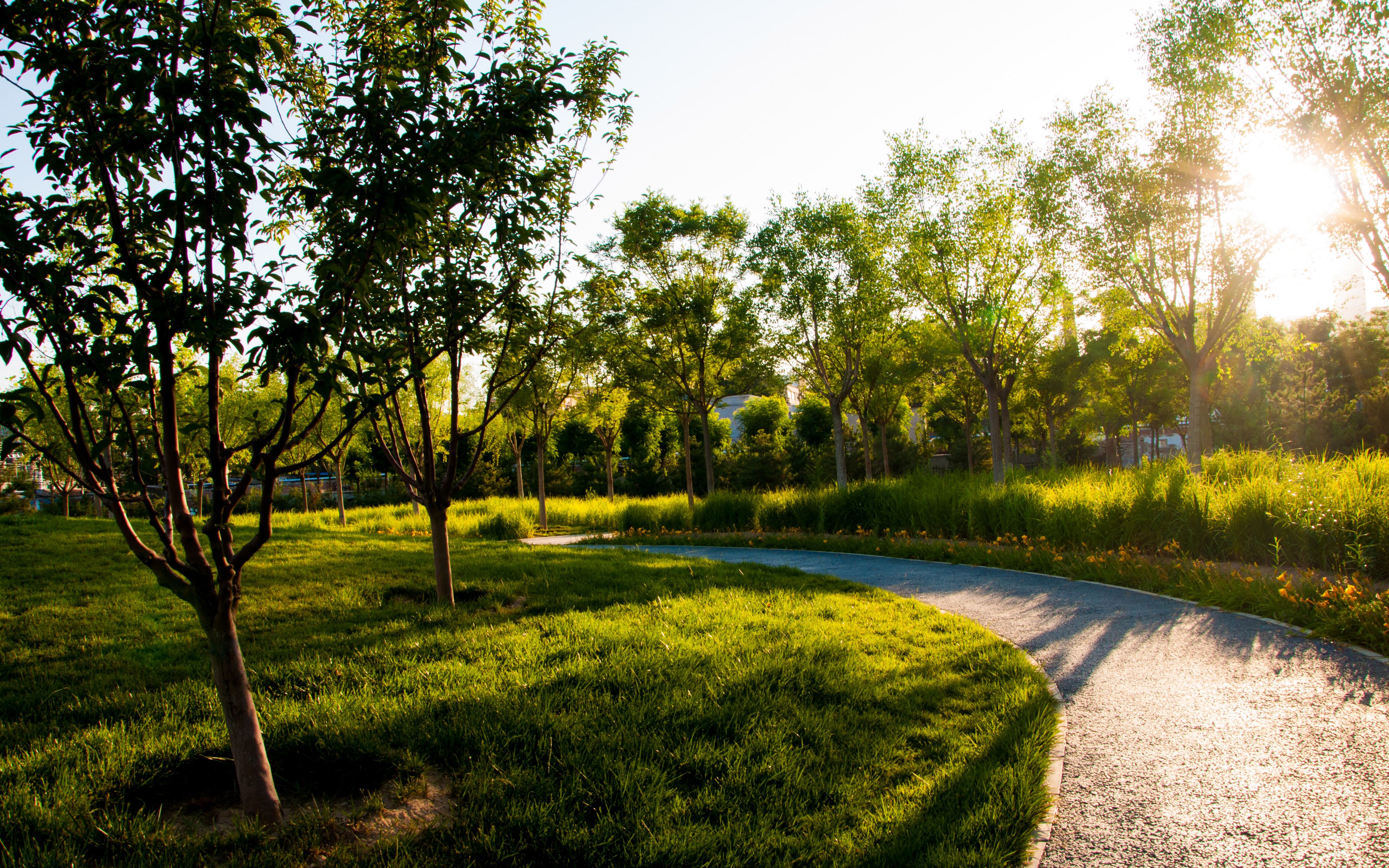 北京四惠到水南庄大变样 城中村变成惠水湾森林公园_哔哩哔哩_bili