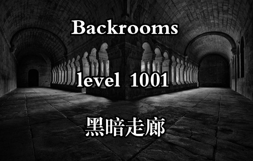 [图]【Backrooms】Level 1001 黑暗走廊