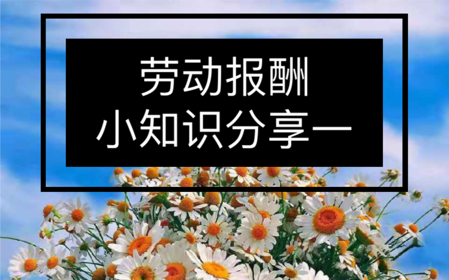 劳动合同工资报酬小知识分享一哔哩哔哩bilibili