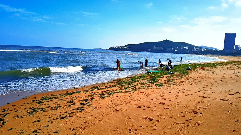 威海国际海水浴场赶海图片