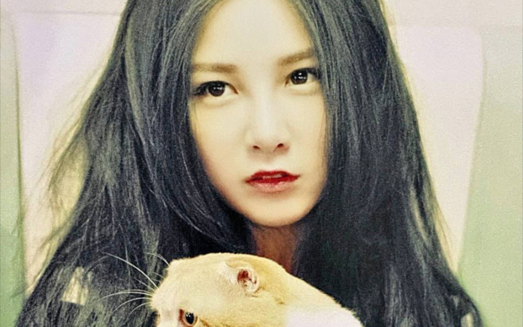 本兮最伤感的一首歌_即使想念_哔哩哔哩_bilibili