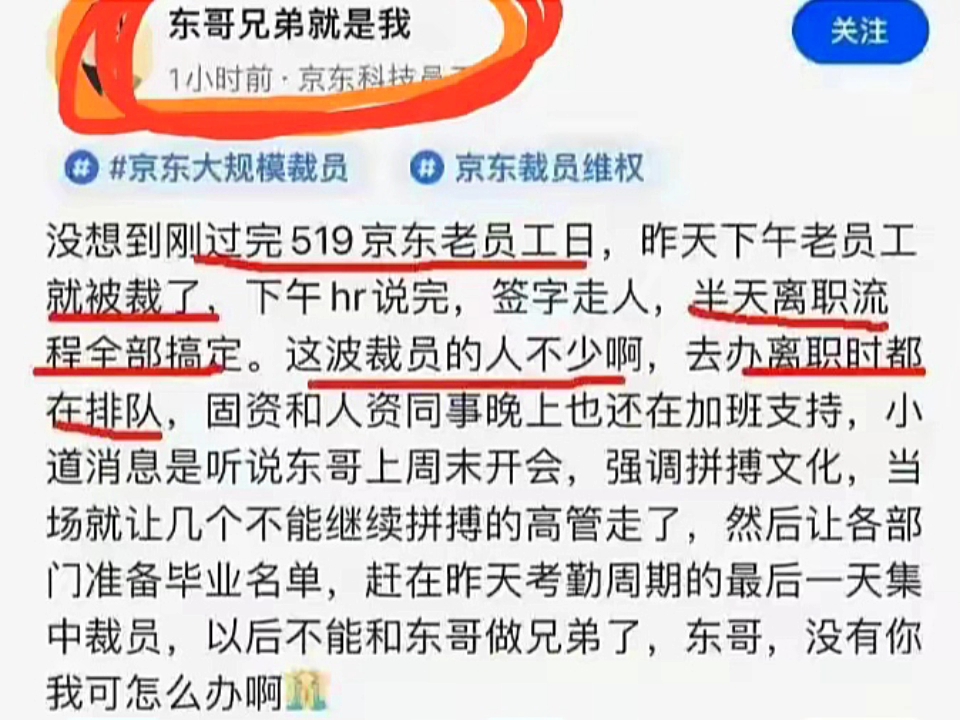 “东哥兄弟就是我”被京东裁员了哔哩哔哩bilibili