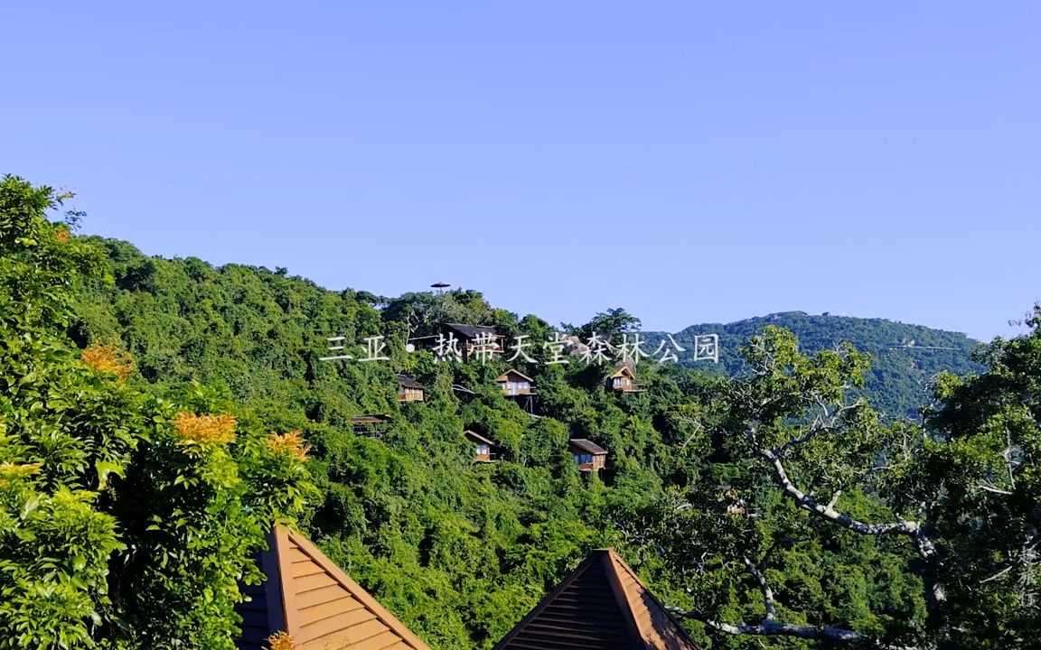 三亚天行森林公园景区图片