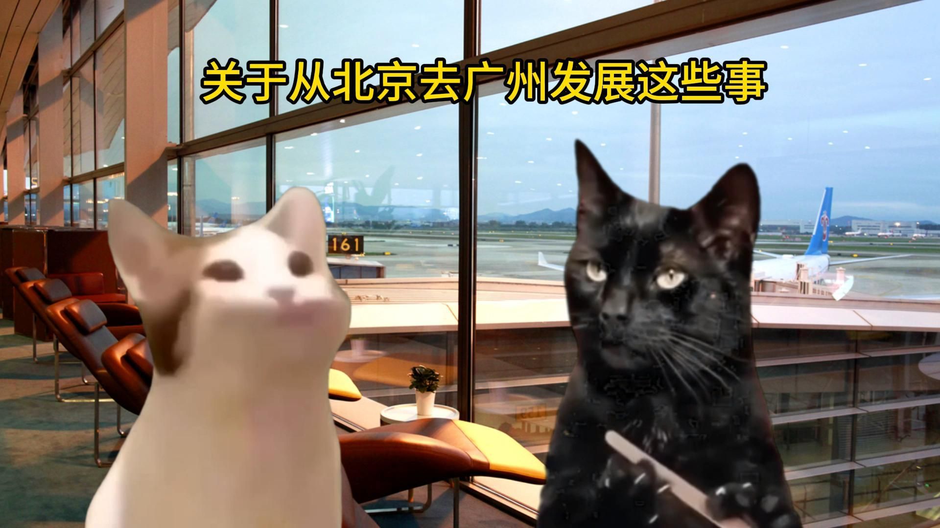 【猫meme】关于从北京去广州发展这件事——初识广州哔哩哔哩bilibili