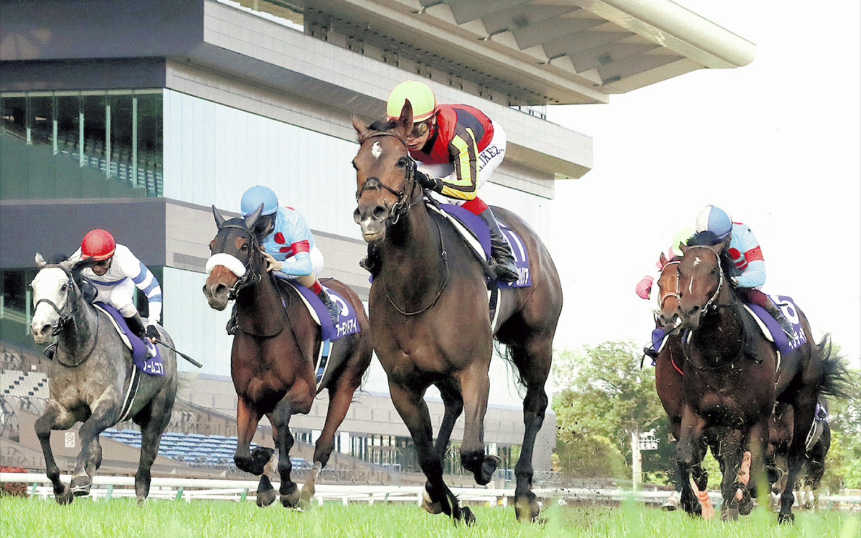 【赛马大亨10】有马对决!