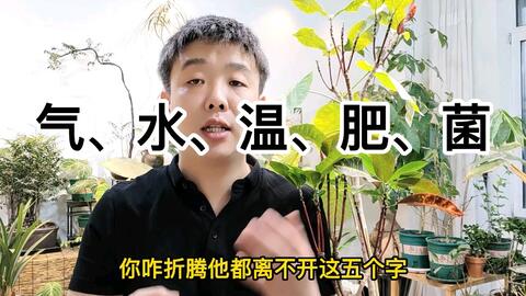 科普 你了解庞大的植物根系吗 哔哩哔哩