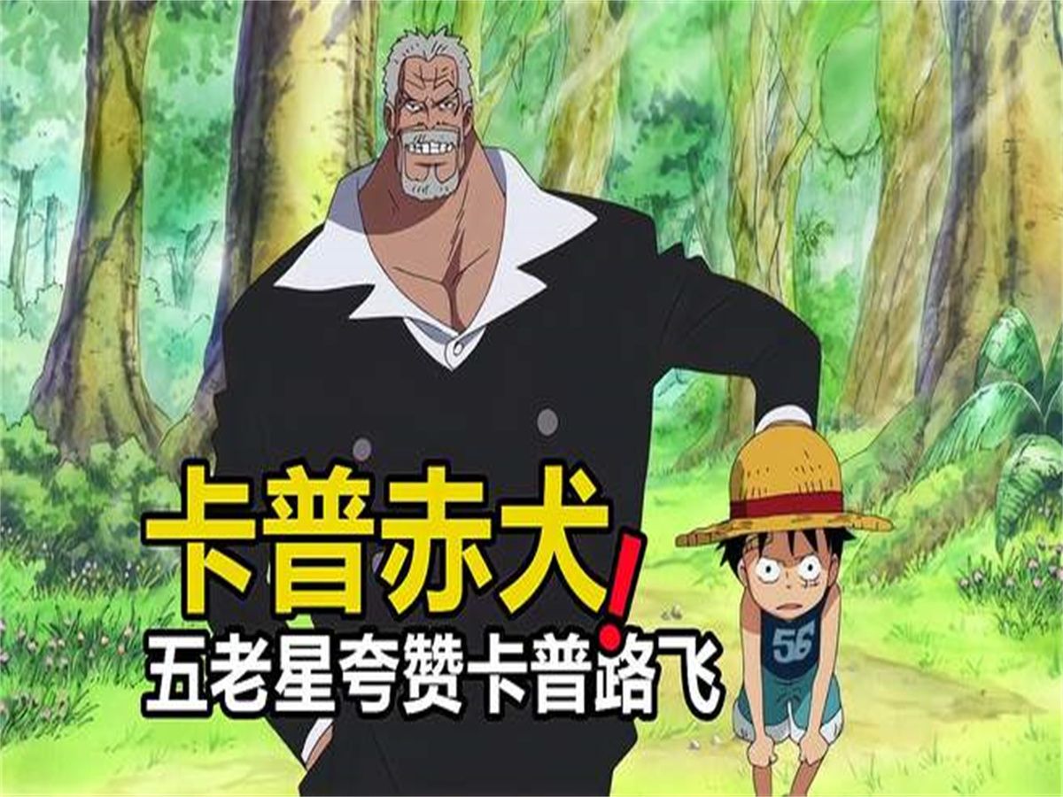 五老星夸赞路飞透露出卡普的实力,能轻而易举锤爆赤犬