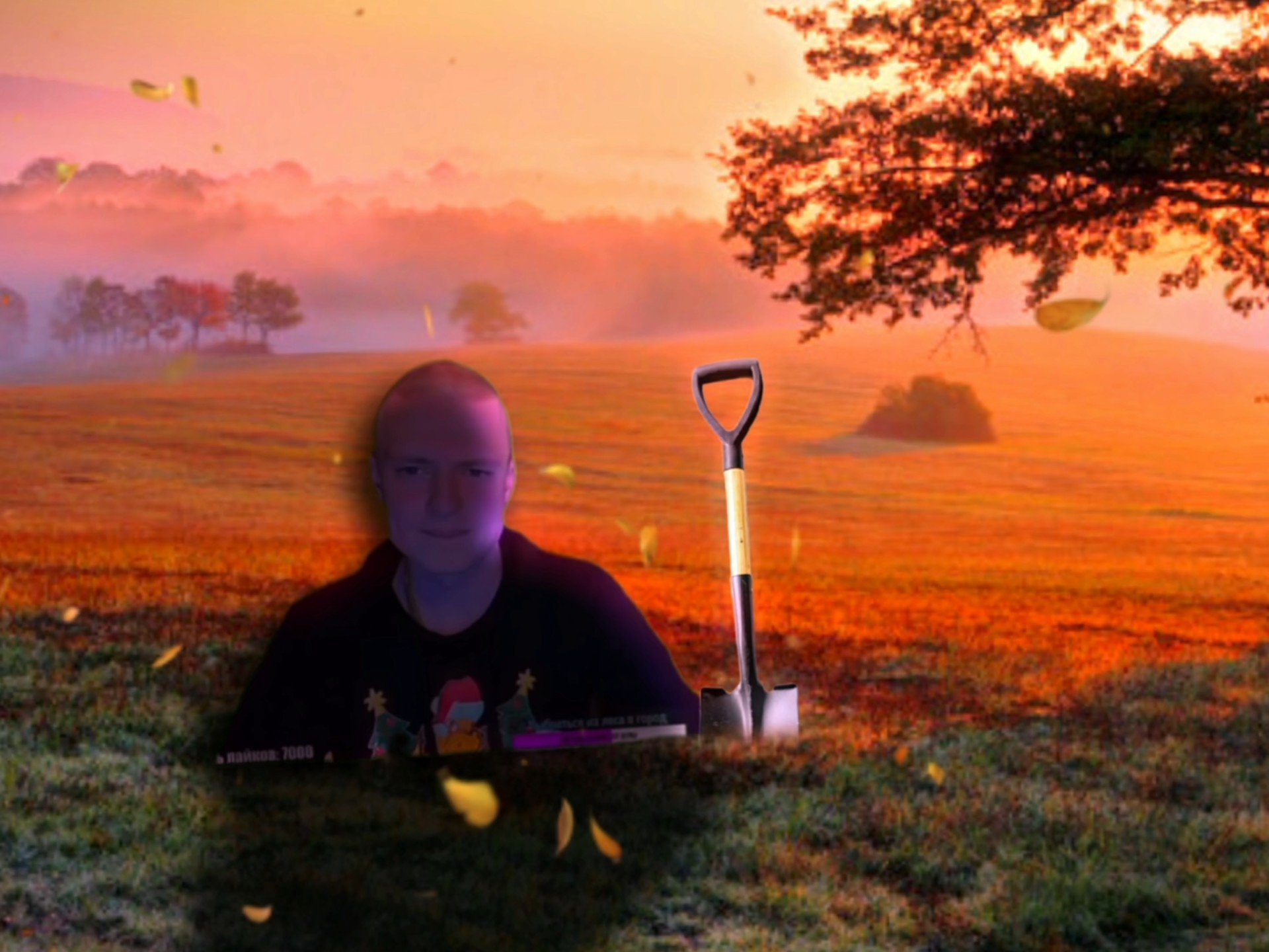 宠物能吸收你所有的坏情绪，并在死亡时全部返还给你