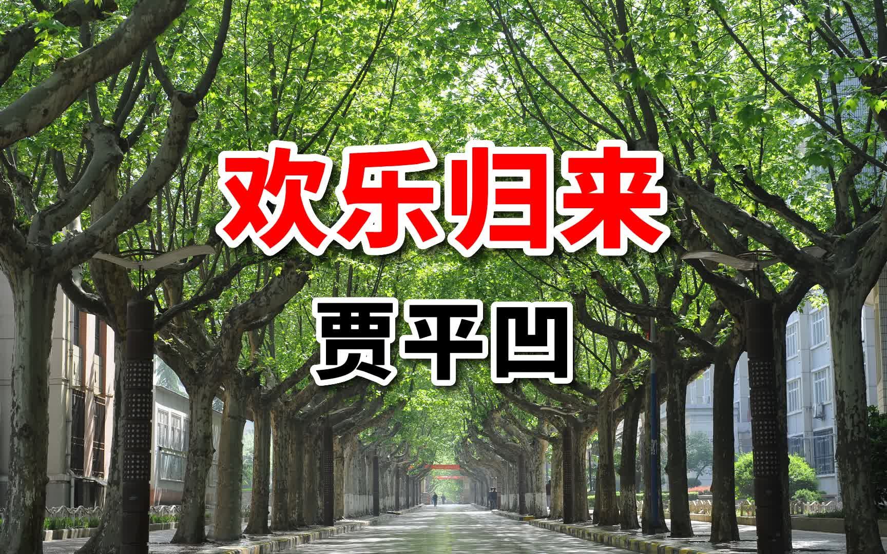 贾平凹散文《欢乐归来,欢乐又归去》哔哩哔哩bilibili