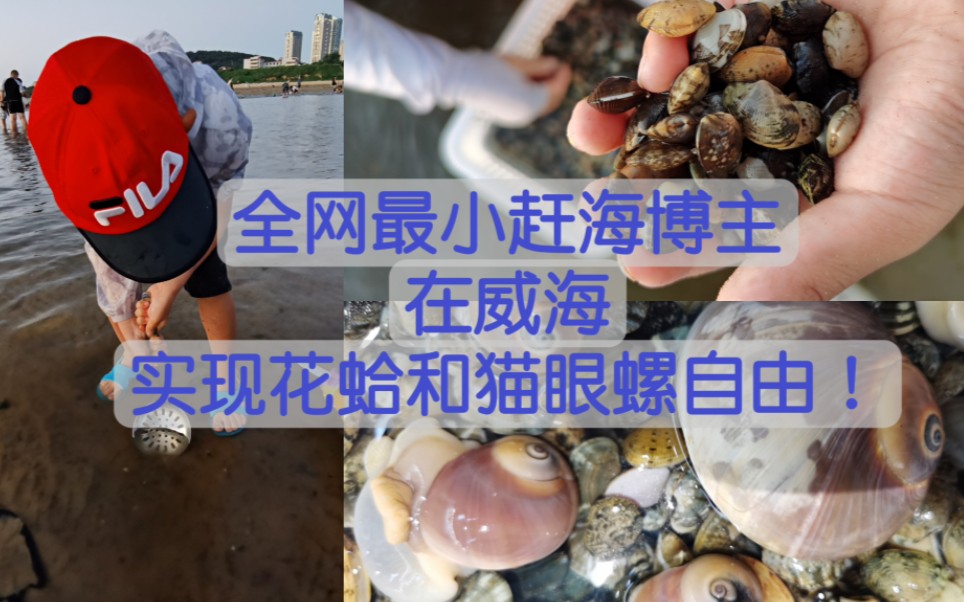 【烟台&威海赶海记】第4天:在威海发现宝藏海滩,猫眼螺随便捡,花蛤泛滥.哔哩哔哩bilibili