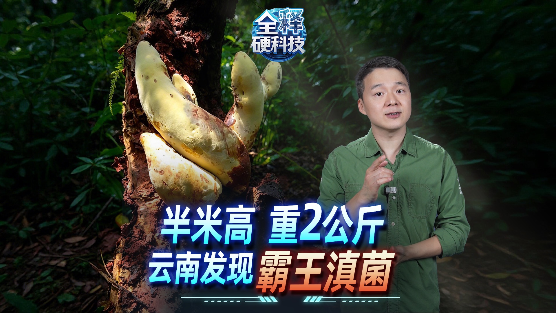 界门纲目科属种，中国科学家发现真菌界全新一“科”！【全释硬科技】