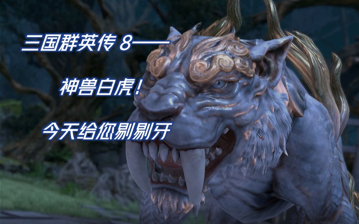 三国群英传8神兽白虎曹老板亲自带队剔牙