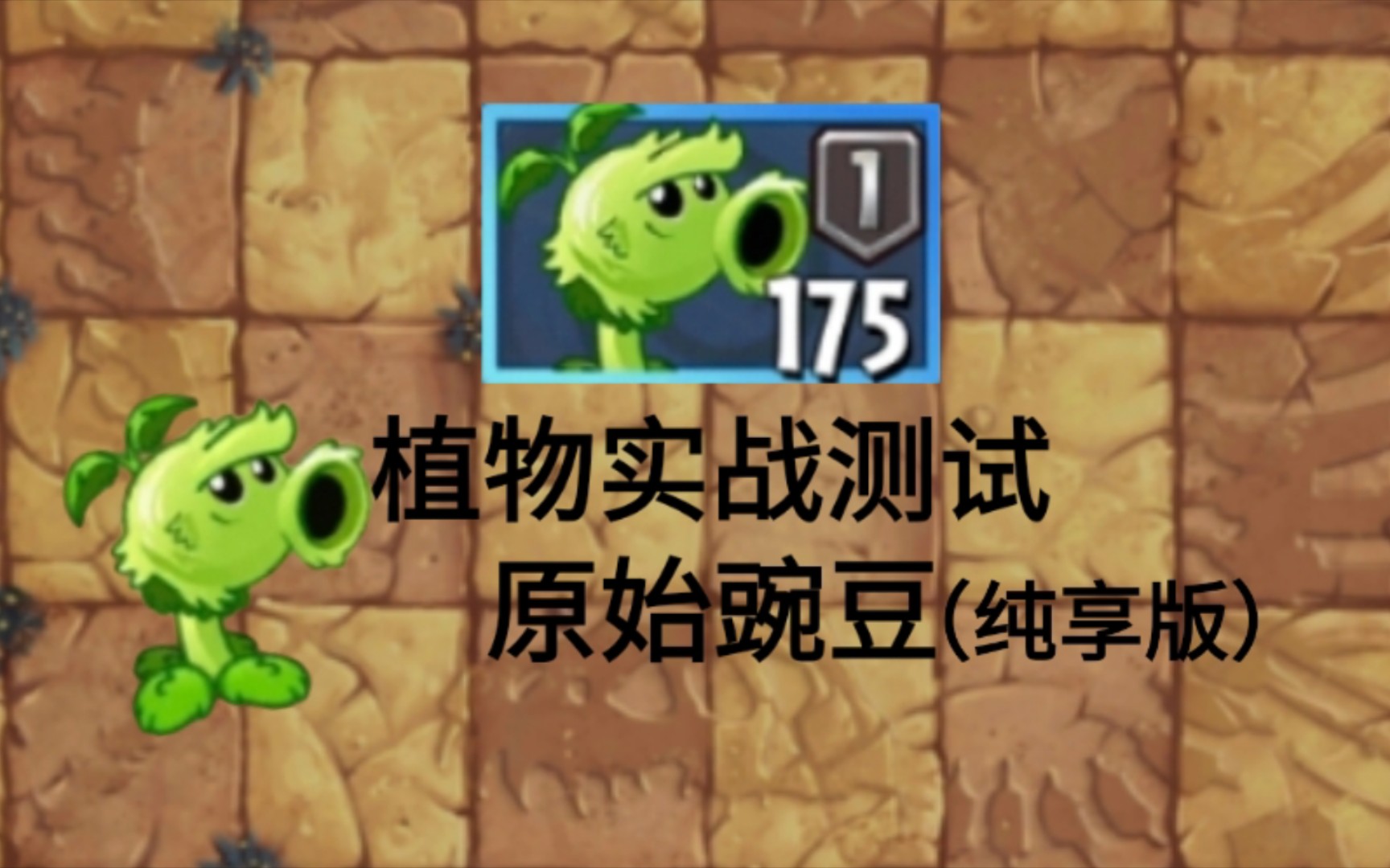 原始豌豆!pvz2一阶植物单挑测试#65(纯享版)