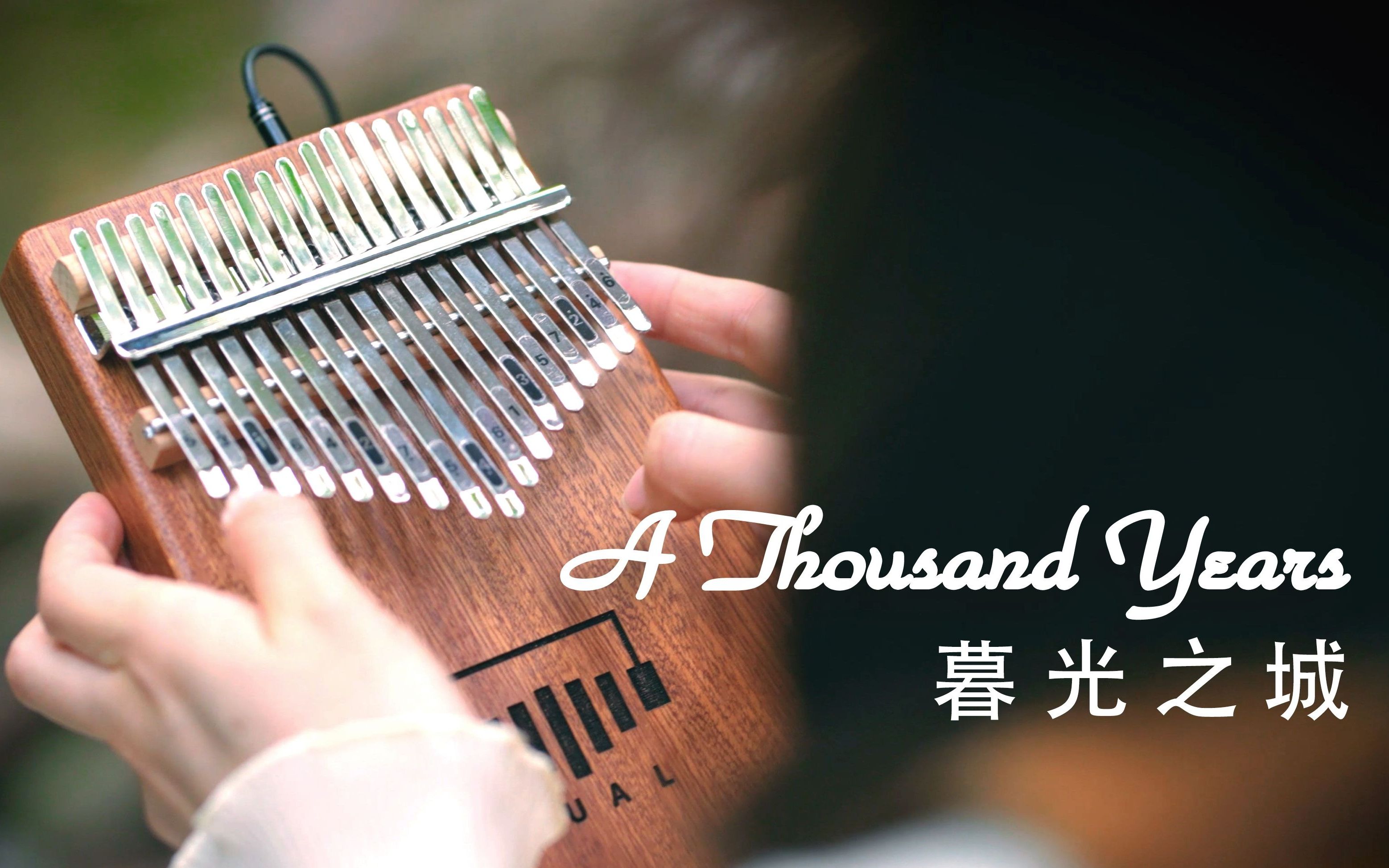 [图]【拇指琴】《暮光之城》插曲A Thousand Years - 丛林深处安静美好的声音