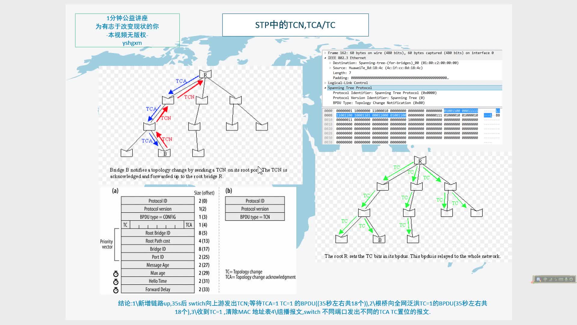 一分钟网络知识79 (STP)拓扑变更的处理TCN哔哩哔哩bilibili