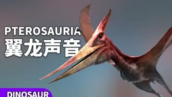 恐龙声音 甲龙叫声音效 哔哩哔哩 Bilibili