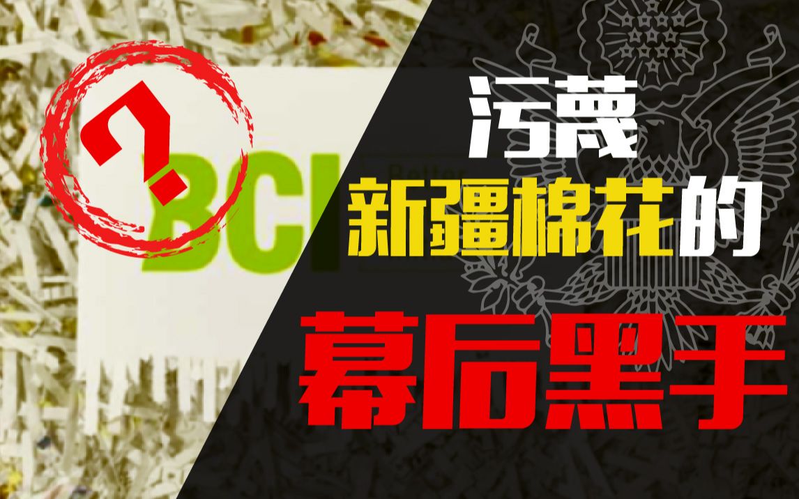 历时三个月！我揪出了污蔑新疆棉花的真正幕后黑手