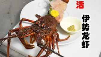 日式料理 馬面鱼刺身 哔哩哔哩 Bilibili