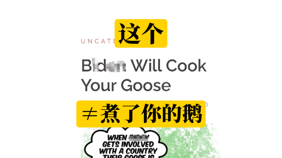 cook your goose到底啥意思呢?真实的意思挺有意思.哔哩哔哩bilibili