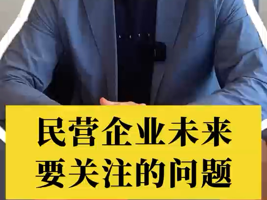 民营企业未来要关注的问题#民营经济#逐利执法#预期#2025#哔哩哔哩bilibili