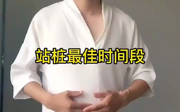 站桩的最佳时间段,你知道吗?董晓杰站桩哔哩哔哩bilibili