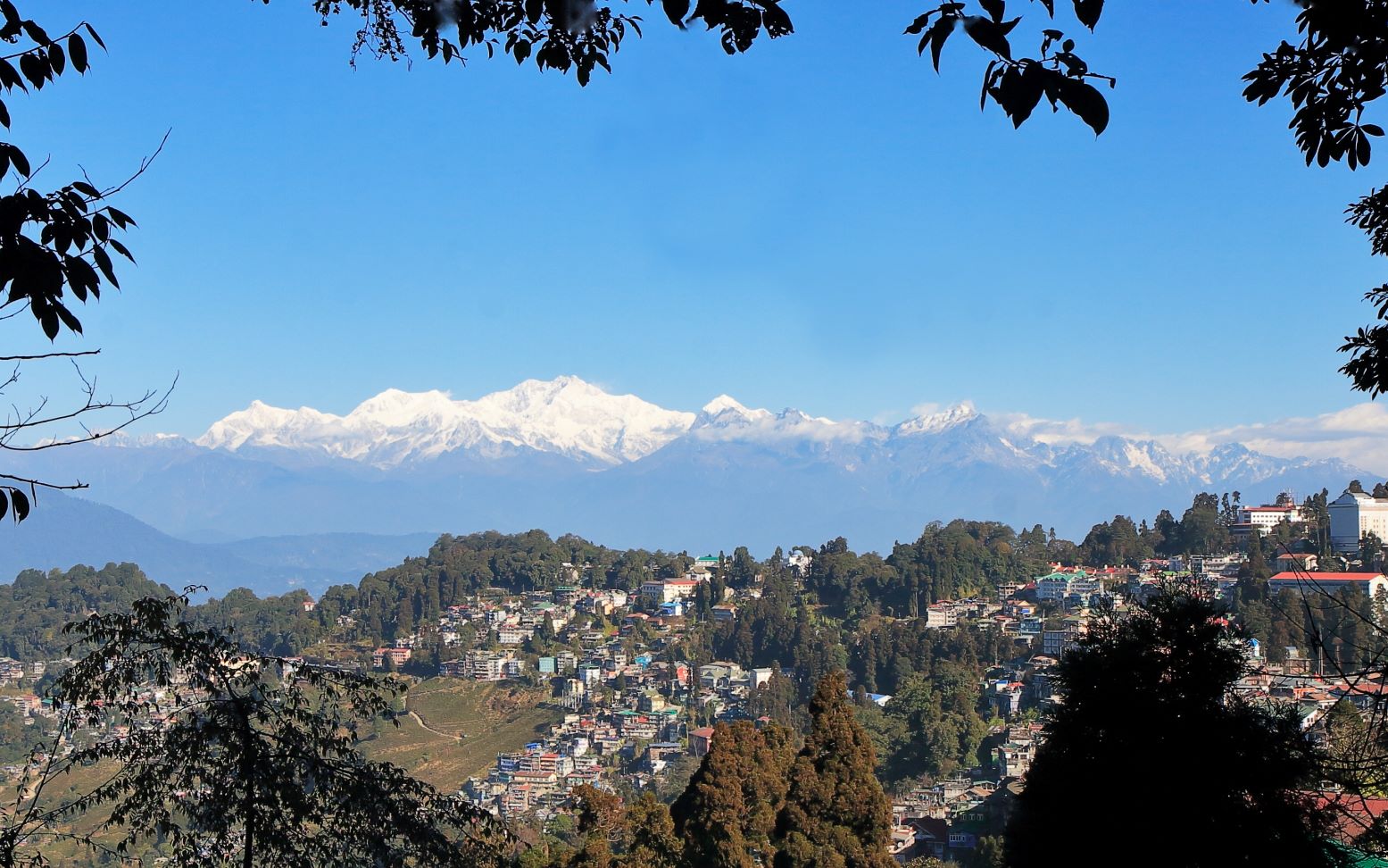 大吉岭darjeelingbgm源自网络侵删金顶雪山第三高峰干城章嘉峰尽收