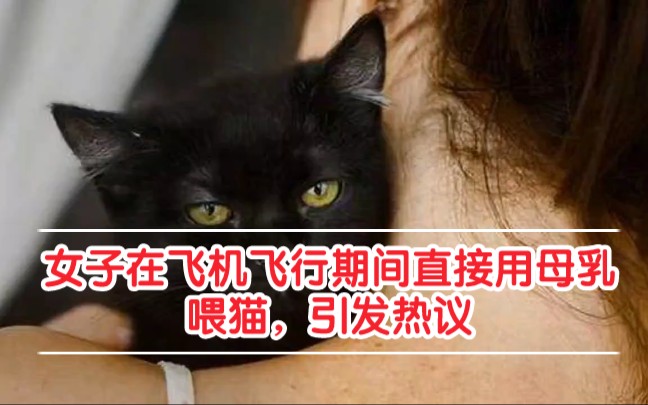 飞机上一女乘客,在飞行期间用母乳给猫喂奶,网友:心里扭曲变态!哔哩哔哩bilibili