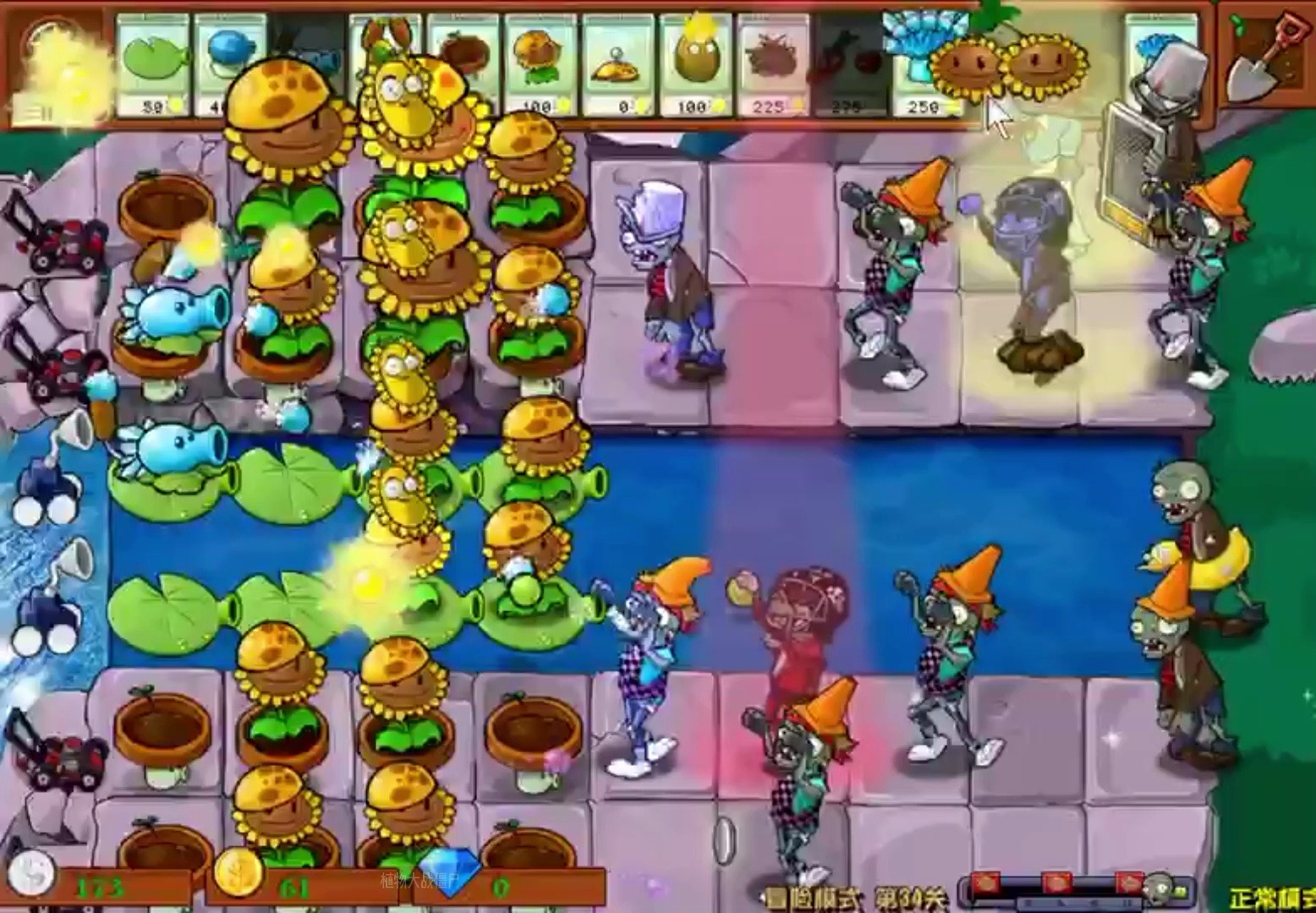 植物大战僵尸-金盏吸金磁