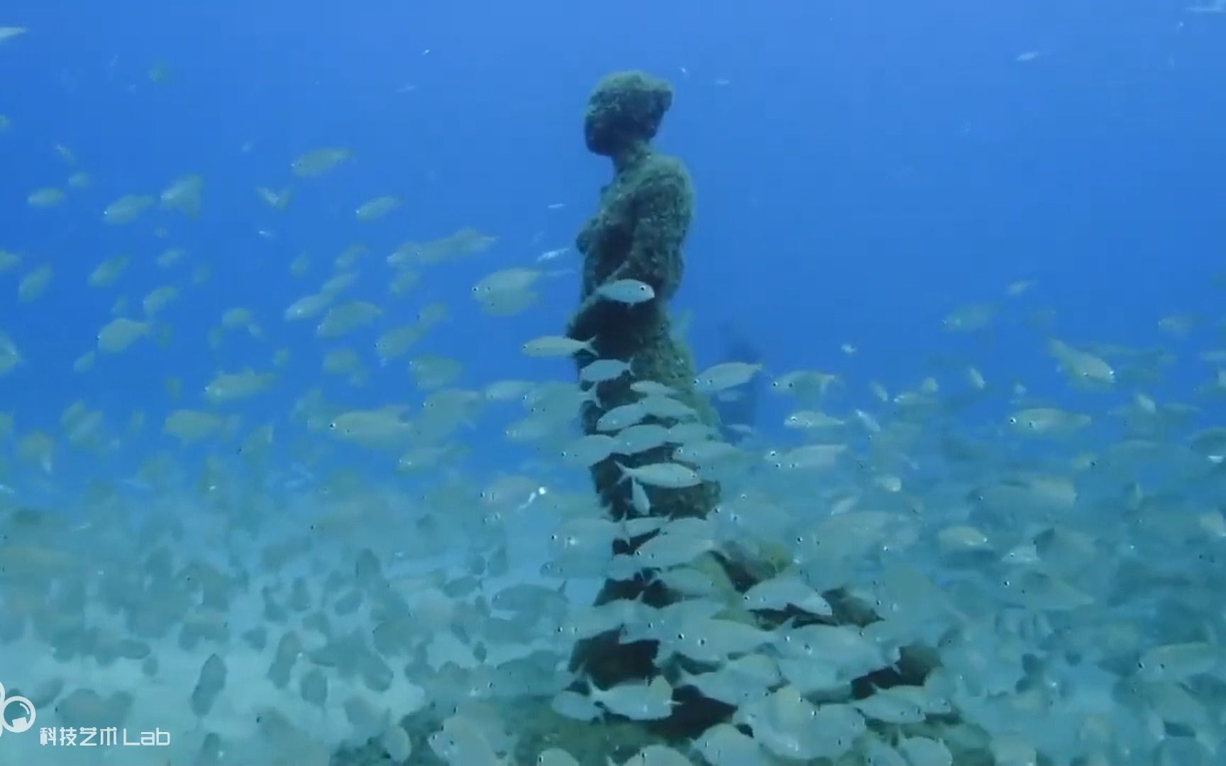 [488][装置艺术] 海底哨兵 by Jason deCaires Taylor哔哩哔哩bilibili