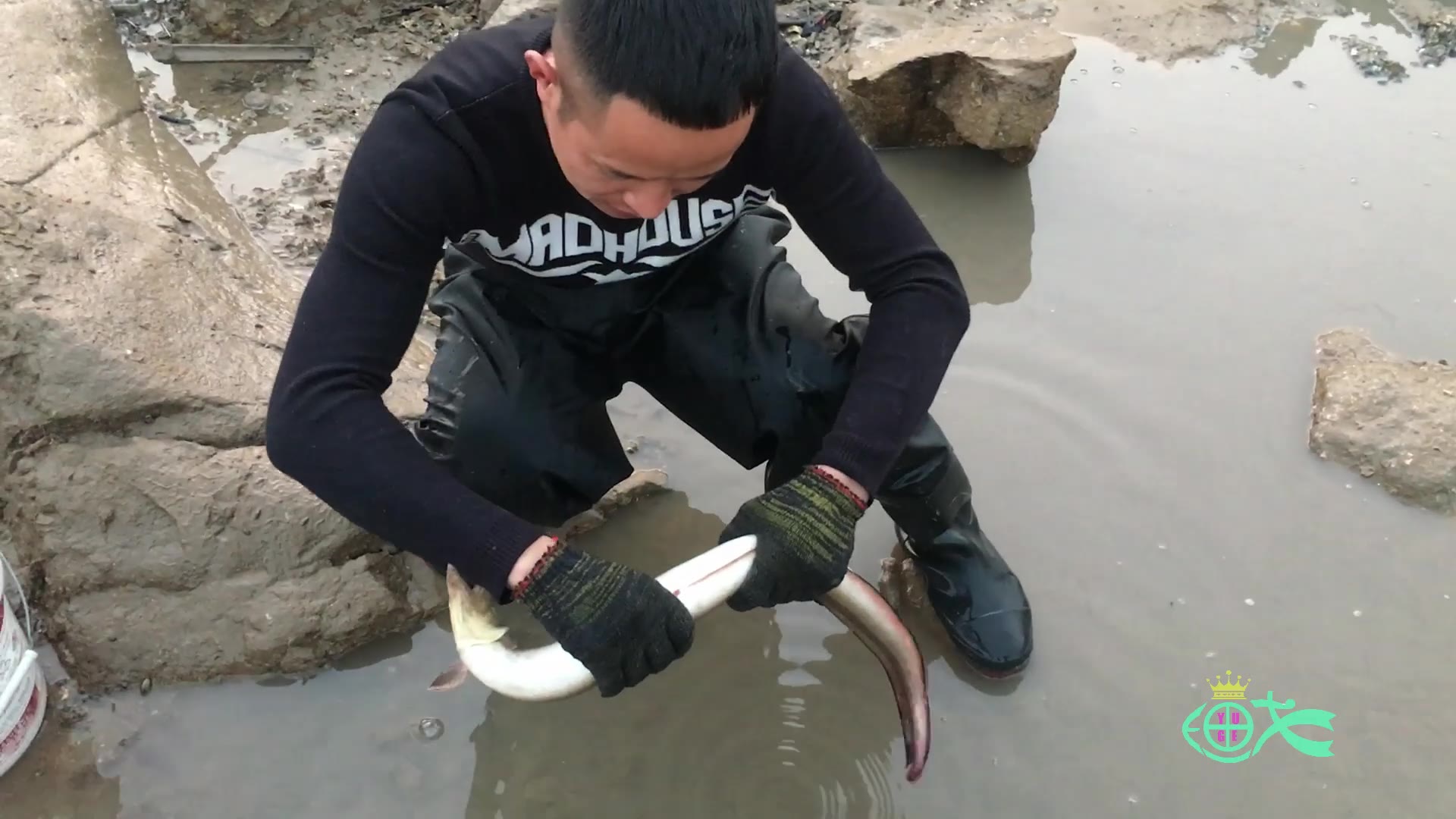 兄弟赶海运气太好了,大水池搁浅了不少猛货,徒手抓的太爽了哔哩哔哩bilibili