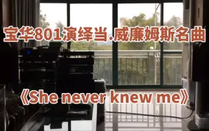 Télécharger la video: 宝华801演绎当.威廉姆斯名曲《She never knew me》。