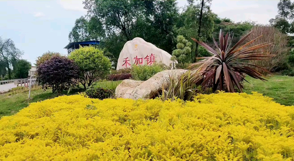 仁寿县禾加镇风景好人相对少