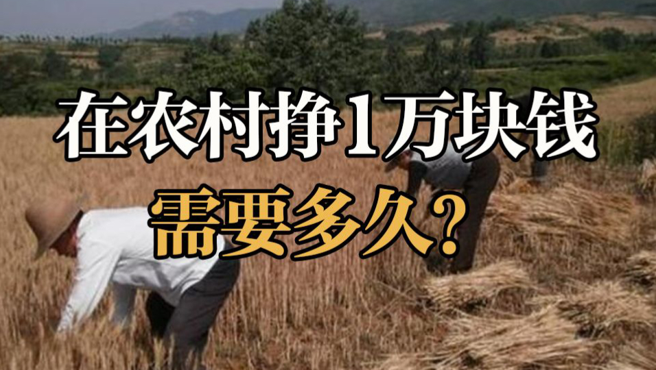 在农村:挣1万块钱需要多久?大城市找不着工作,大学生返乡…哔哩哔哩bilibili