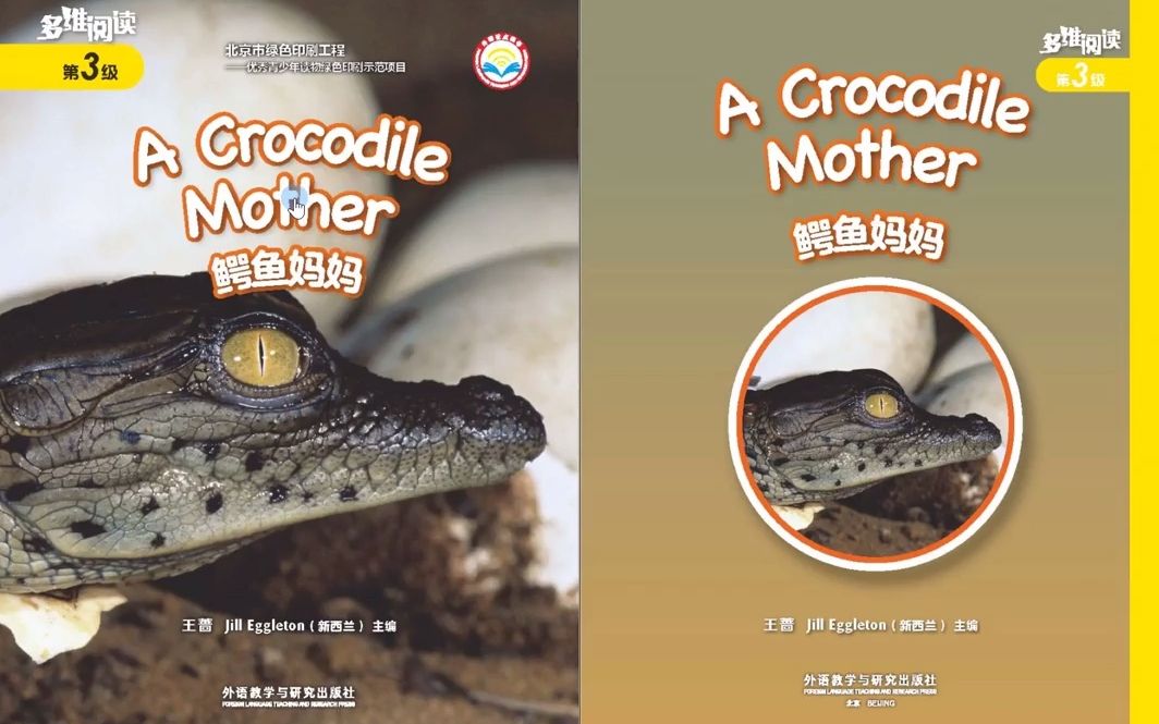 [图]A Crocodile Mother