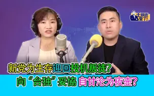 Download Video: 王炳忠：新党为生存迎回投机叛徒？向“台独”妥协自甘沦为夜壶？