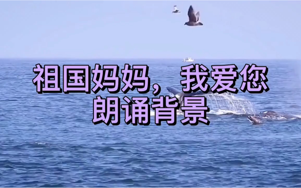 祖国妈妈,我爱您,朗诵背景哔哩哔哩bilibili