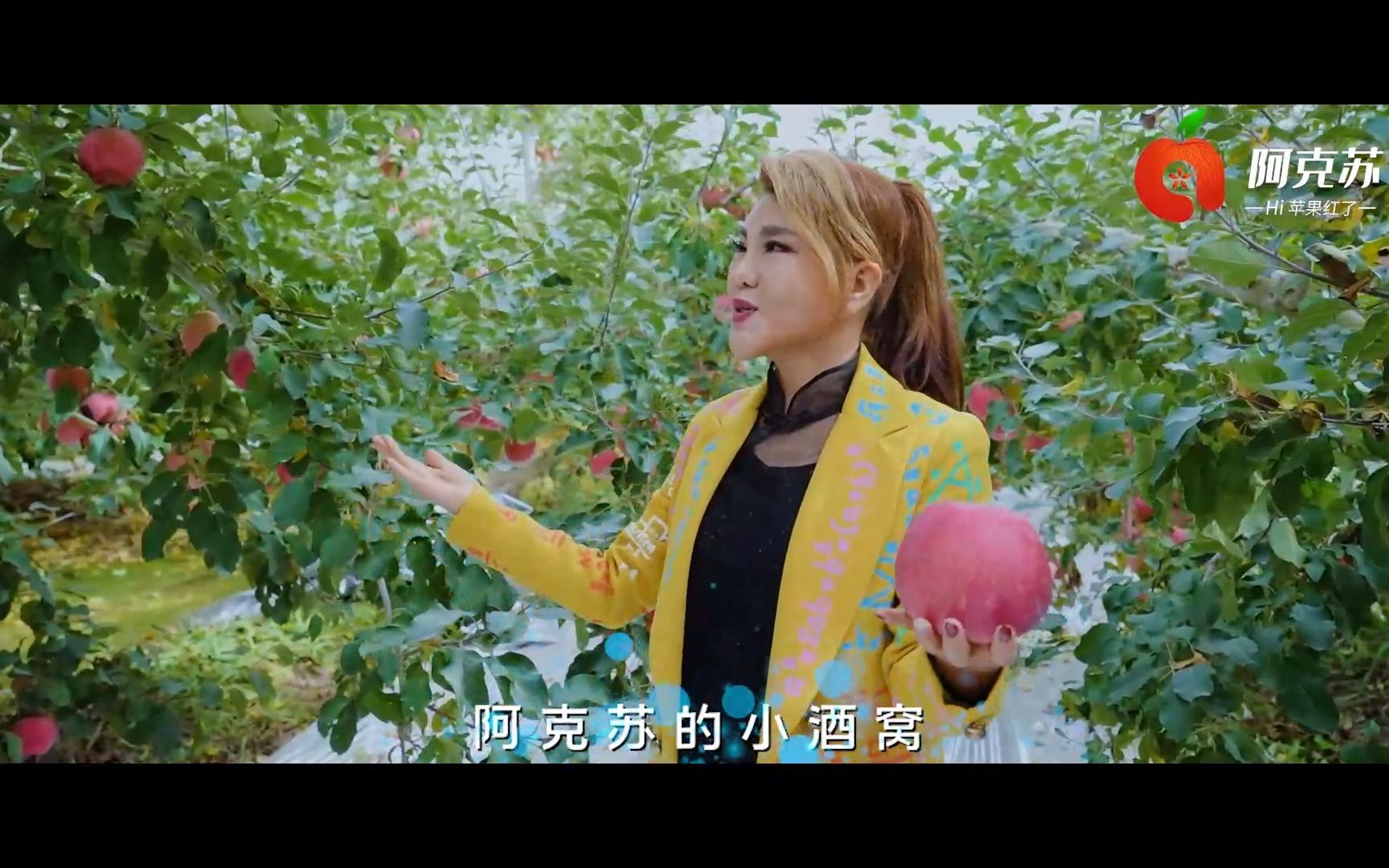 乌兰图雅 新歌《阿克苏的红苹果》 mv 发布