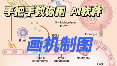 068. 导师希望你会，却无人教你的能力❗