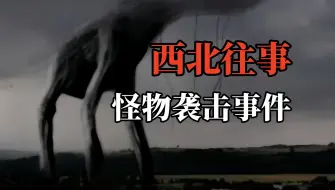 下载视频: 【高能慎入】西北怪物袭击事件，万物都有“里比里斯”？