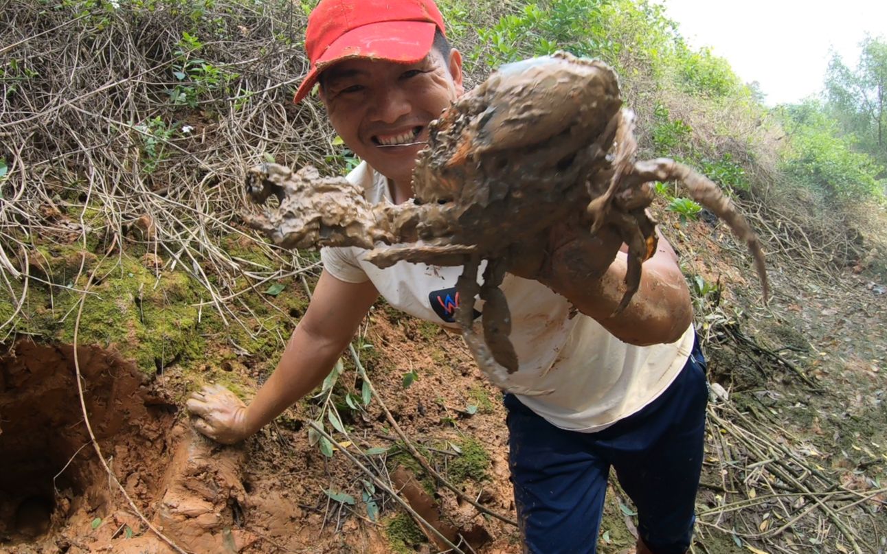 刀仔在海沟发现一大片螃蟹洞,一路使劲挖,大青蟹直接抓爆桶了