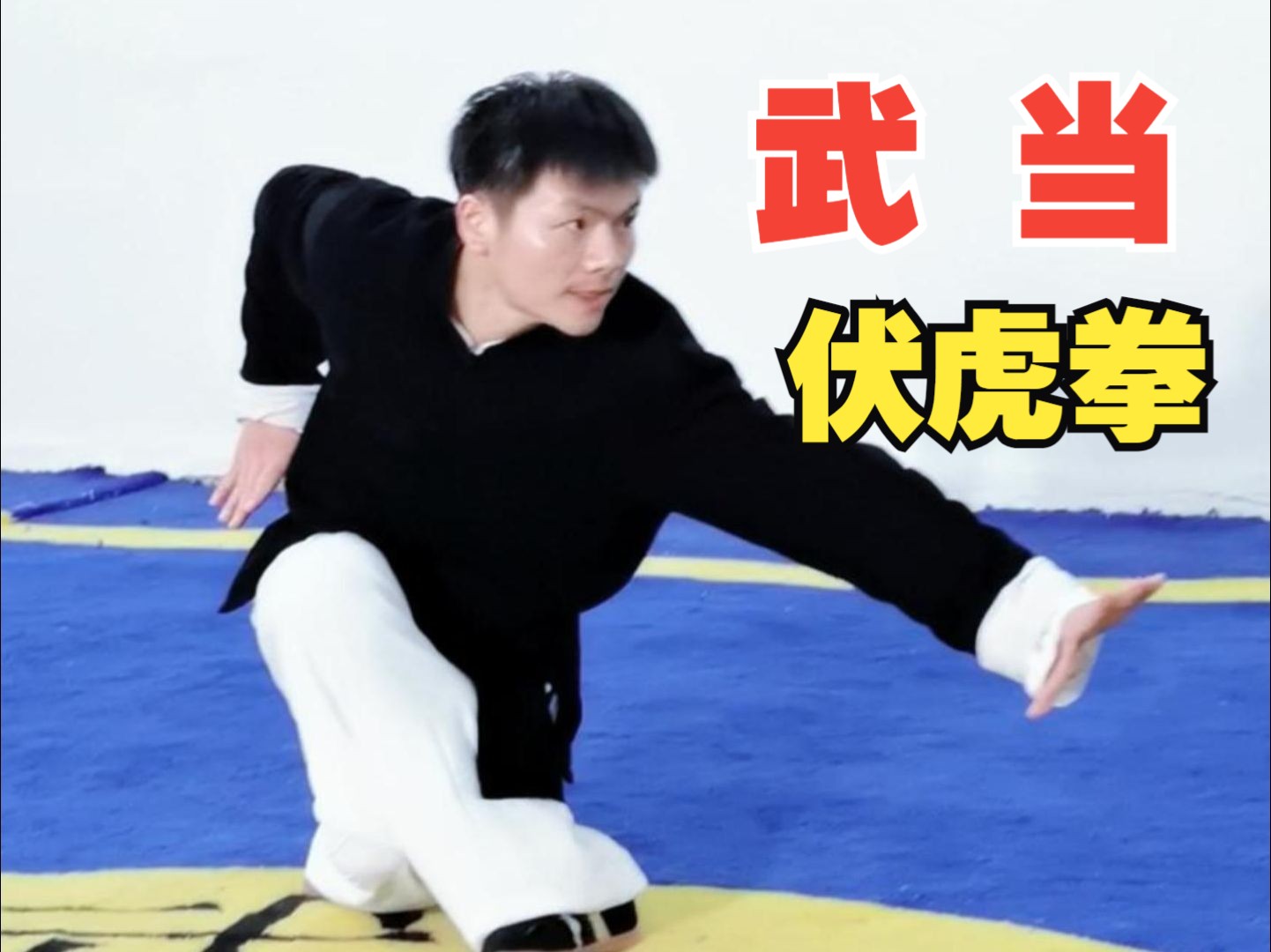 黑虎拳三十六式图片