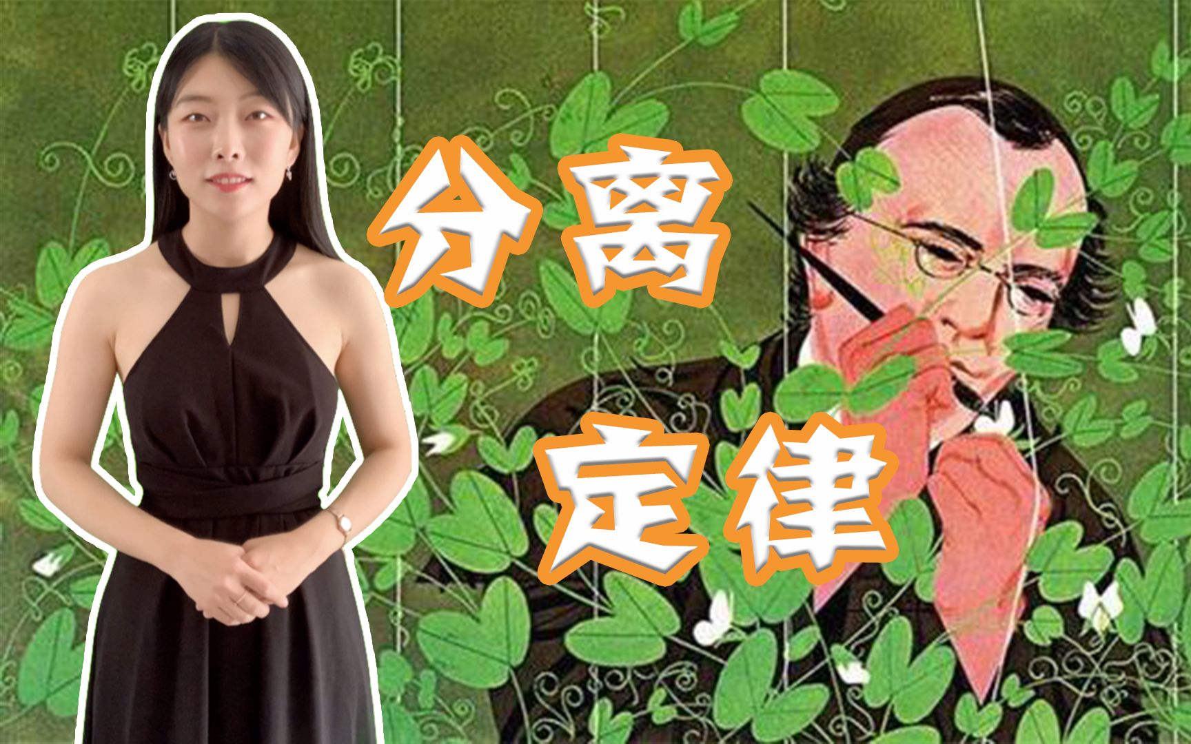 [图]高中生物【分离定律】假说演绎法如何发现分离定律？｜孟德尔遗传